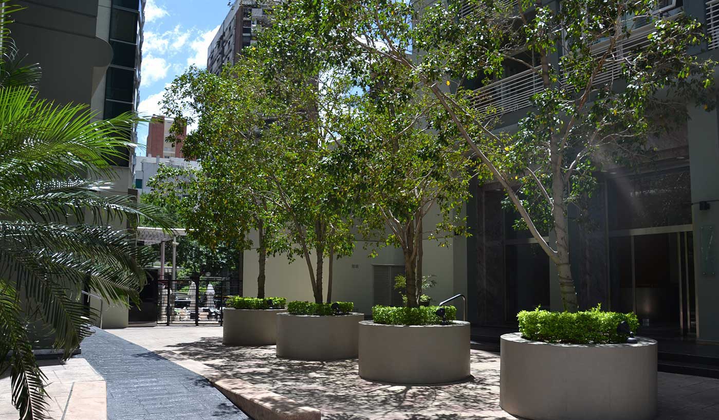 Modern Two Bedroom Apartment with Pool, Gym and Skyline Views